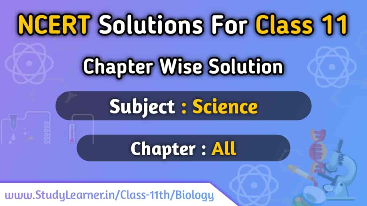 NCERT Solutions For Class 11 Biology In English » Study Learner